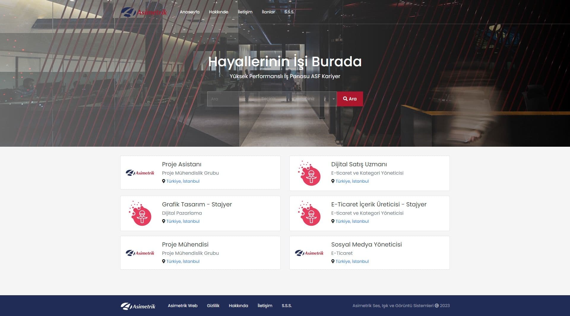 Asimetrik Ses, Işık ve Görüntü Sistemleri Web Sitesi